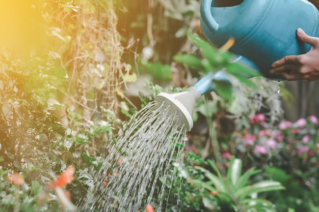 Jardineiro segurando flores azuis de plástico pode regar as plantas no quintal