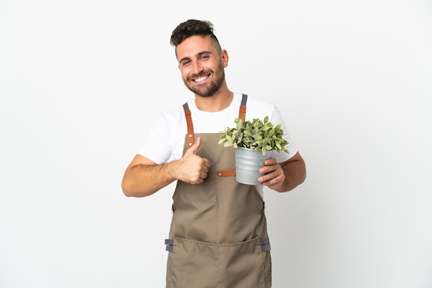 Jardineiro segurando uma planta sobre um branco isolado e fazendo um gesto de polegar para cima