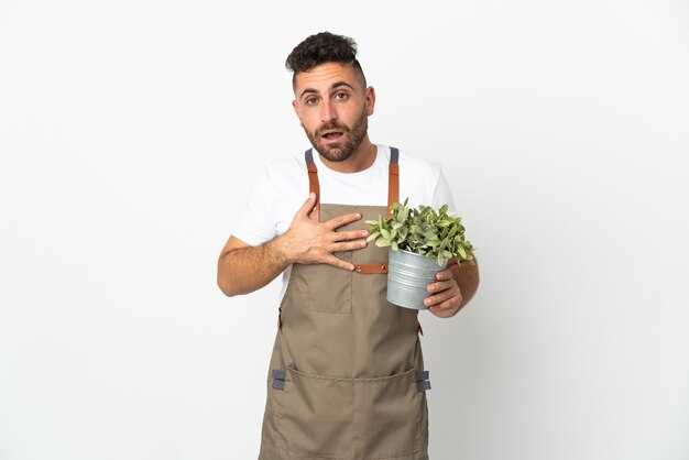 Jardineiro segurando uma planta sobre um branco isolado surpreso e chocado ao olhar para a direita