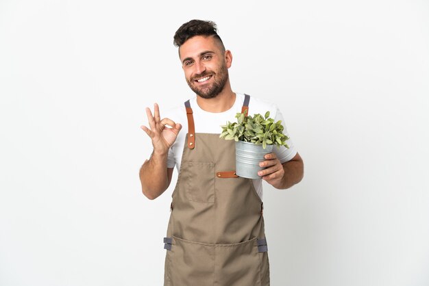 Jardineiro segurando uma planta sobre um fundo branco isolado, mostrando um sinal de ok com os dedos