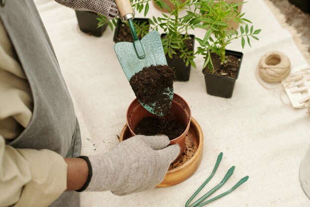 Jardineiro transplantando plantas em vasos por local de trabalho