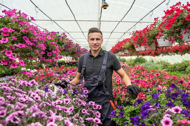 Jardineiro usando uniforme trabalhando com flores decorativas em um vaso em uma estufa de plantas industriais