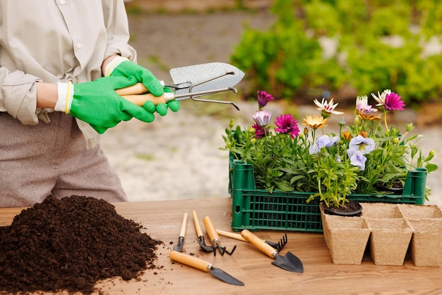 jardineiros de mão segurando um conjunto de ferramentas de jardinagem conceito de jardinagem