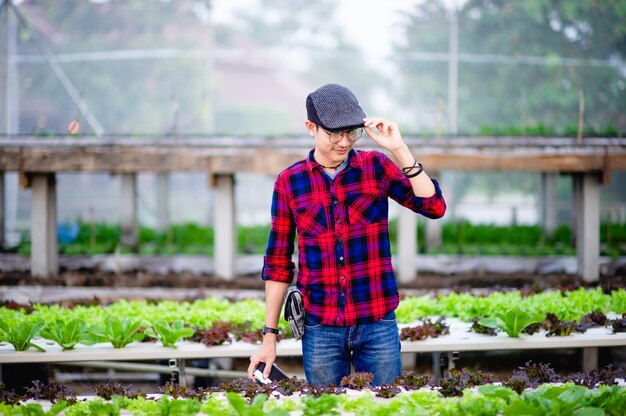 Jardineiros salada homens Olhando para a salada em seu jardim Conceito de fazer hortas saudáveis