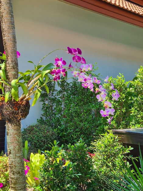 Una jardinera con flores moradas y una palmera al fondo