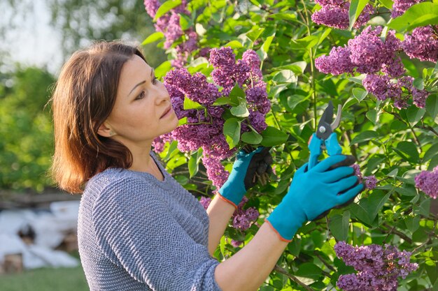 Jardinera en guantes con tijeras de podar cortando ramas de color lila