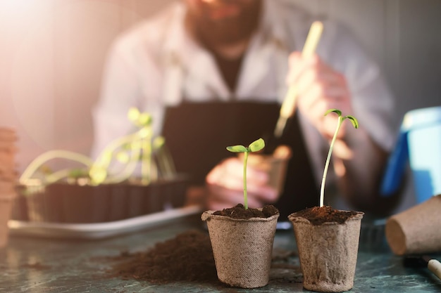 Jardinería en casa mesa de brotes de mano