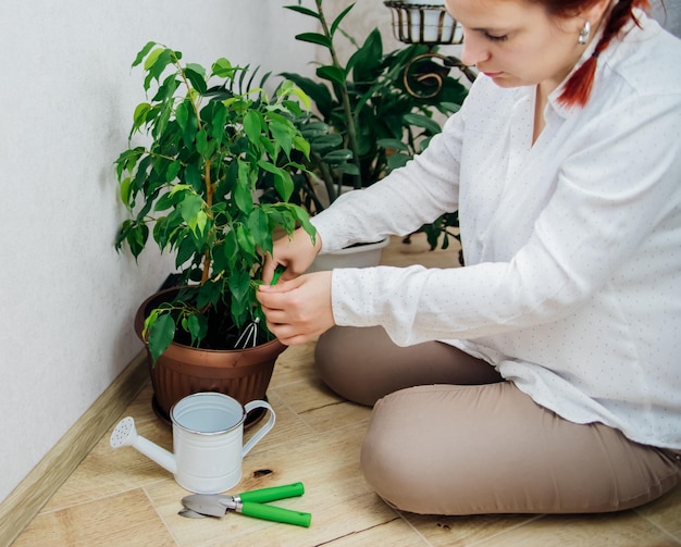 Jardinería en casa Una mujer joven cuida las plantas en el jardín de su casa El jardín interior Plantas verdes en macetas en casa selva casera Poda y riego de plantas de interior