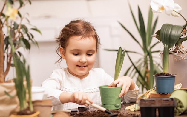 Jardinería casera niña pequeña ayudando a cuidar las plantas del hogar entorno verde en casa