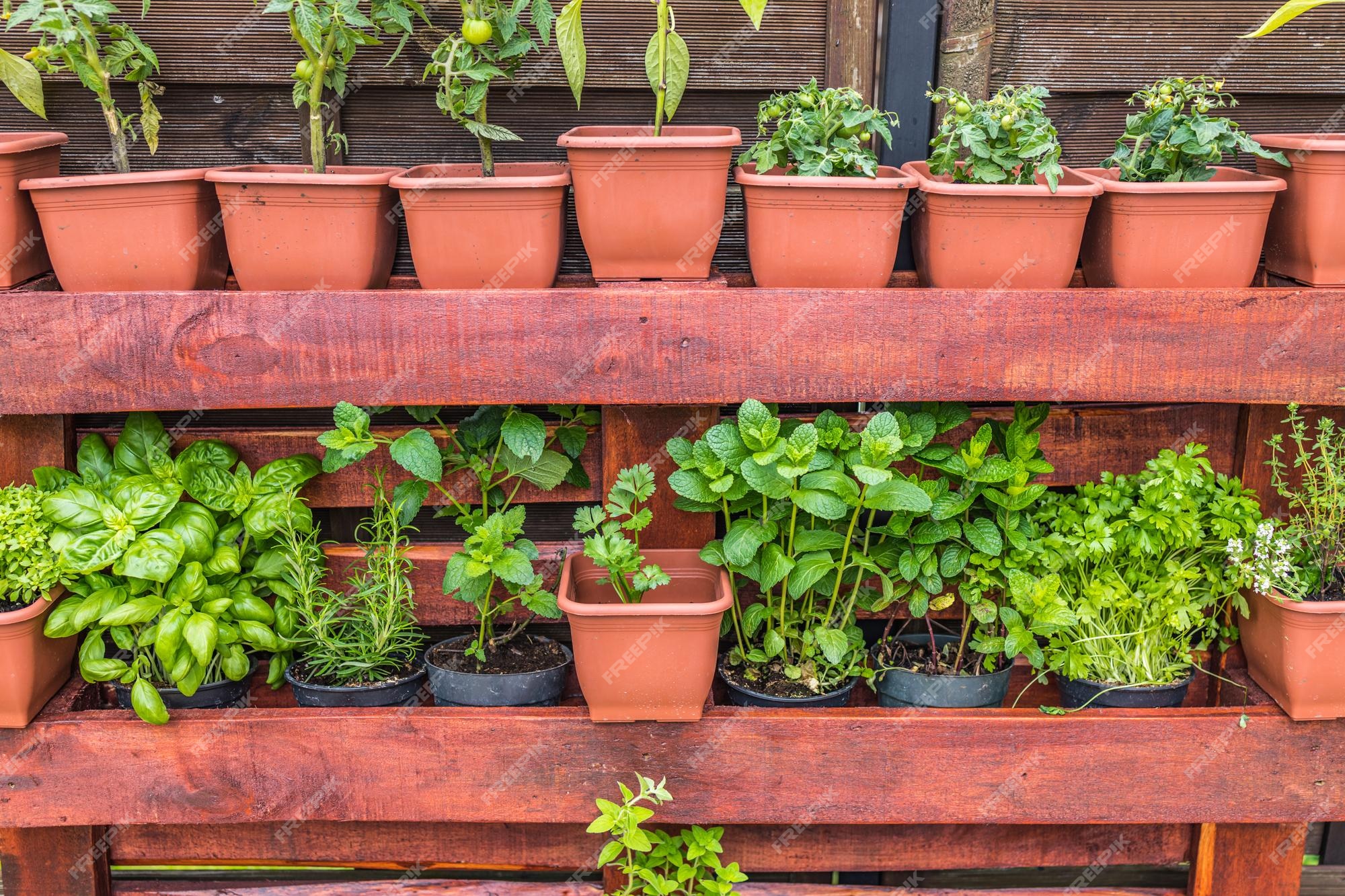 fluido historia fregar Jardinería para decoración de paredes como repisa para maceteros jardín con  jardineras de maderas recicladas | Foto Premium
