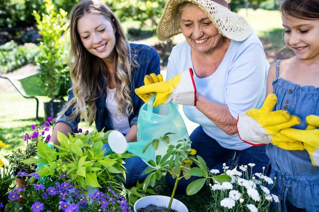 Jardinería familiar multigeneración en el parque