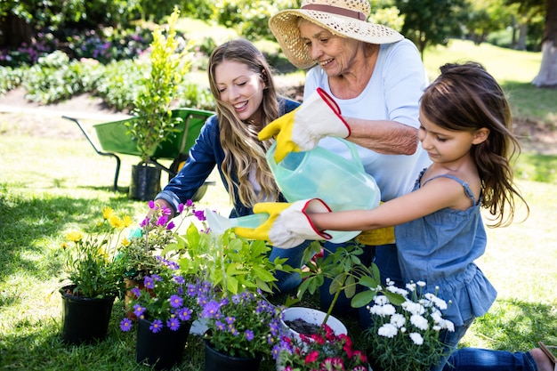 Jardinería familiar multigeneración en el parque