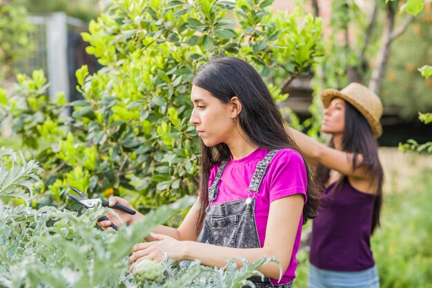 Jardinería en huerto urbano orgánico Mujer multiétnica latina cubana venezolana hispana y marroquí