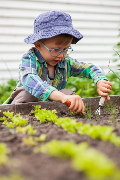 Jardinería infantil en huerto en el patio trasero