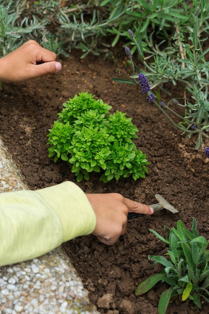 Jardinería joven actividad infantil estimulante de la salud mental