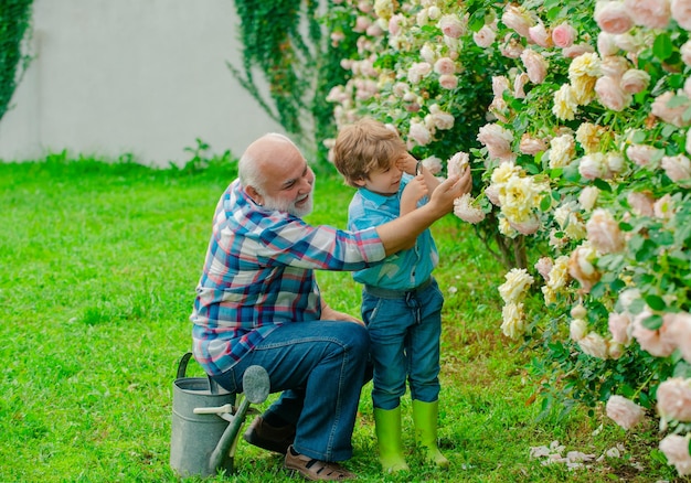 Jardinería con niños abuelo feliz con su nieto trabajando en el jardín niño y padre