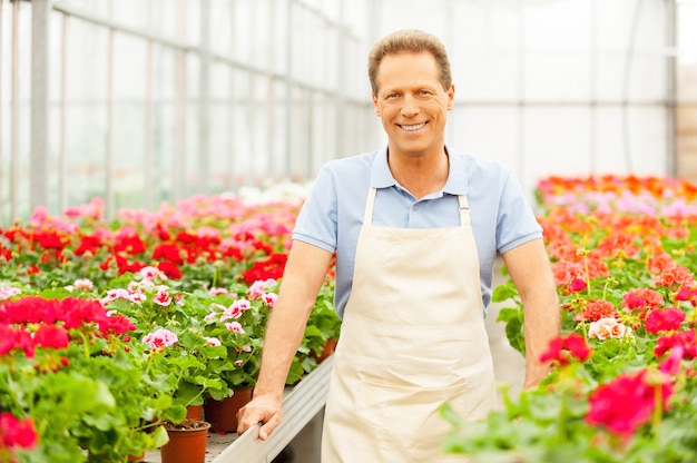 Jardinero. Apuesto hombre maduro de pie en la cama de flores y sonriendo