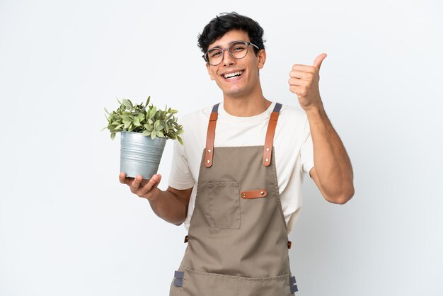 Jardinero argentino sosteniendo una planta aislada de fondo blanco con los pulgares hacia arriba porque algo bueno sucedió