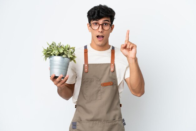 Jardinero argentino sosteniendo una planta aislada sobre fondo blanco con la intención de darse cuenta de la solución mientras levanta un dedo hacia arriba