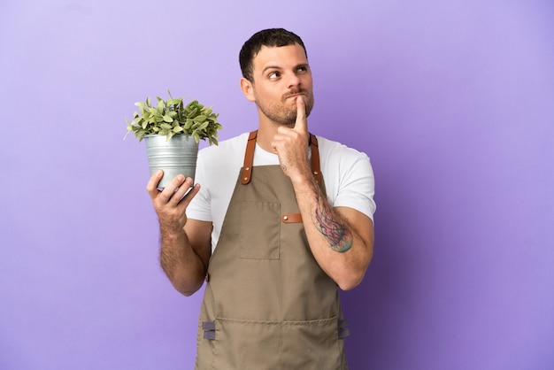 Jardinero brasileño hombre sosteniendo una planta sobre fondo púrpura aislado teniendo dudas mientras mira hacia arriba