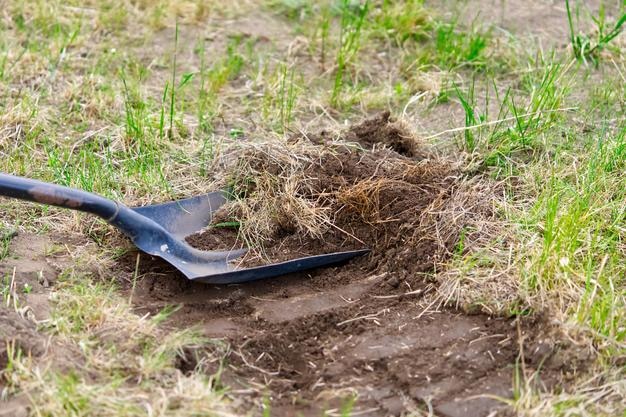 Jardinero cava suelo con pala en concepto de agricultura de jardín