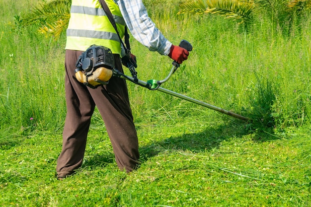 El jardinero cortando césped por cortadora de césped