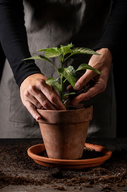 Foto jardinero con delantal cuidando la vista frontal de la planta