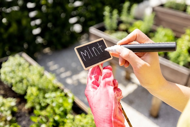 Jardinero escribiendo el nombre de las hierbas en un plato