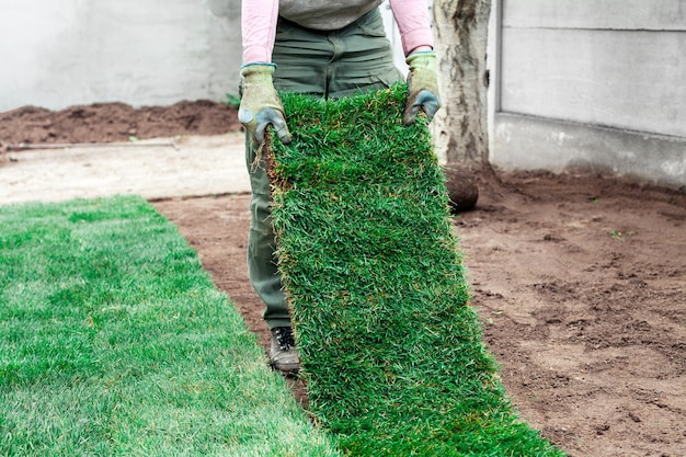 Jardinero está recubriendo el suelo con rollos verdes de césped