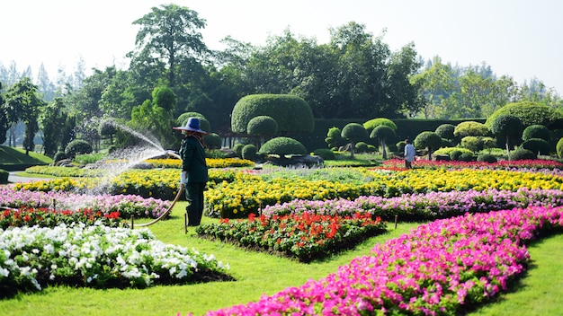 El jardinero está regando las flores en el parque en Long 9 Park. Bangkok, Tailandia