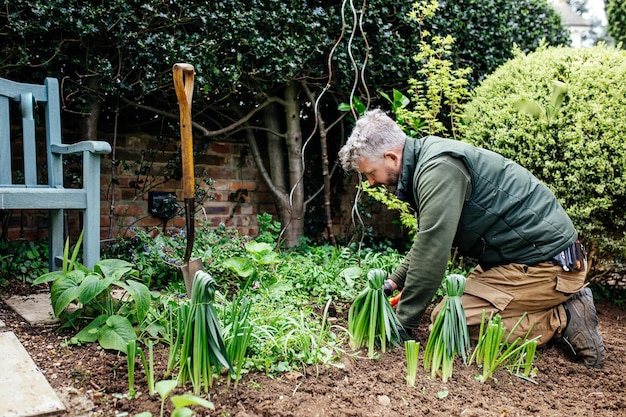 El jardinero está trabajando en un hermoso jardín inglés