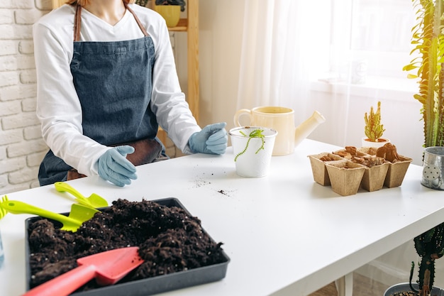 Jardinero femenino cuidando sus plantas en interiores cerrar