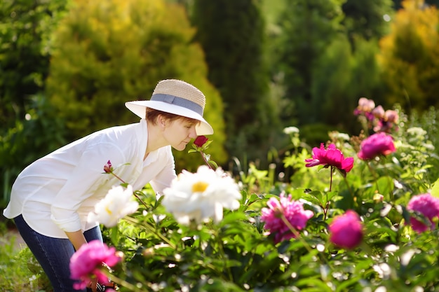 El jardinero femenino de la edad media huele la peonía fresca.