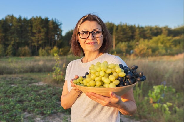 Jardinero femenino sonriente hermoso con la cesta con la cosecha de uvas verdes y azules, hembra en el fondo del jardín, huerto. Hora dorada, puesta de sol