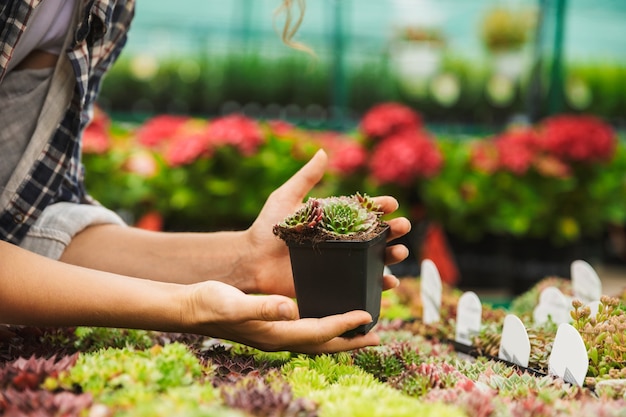 Jardinero femenino trabajando con flores en invernadero