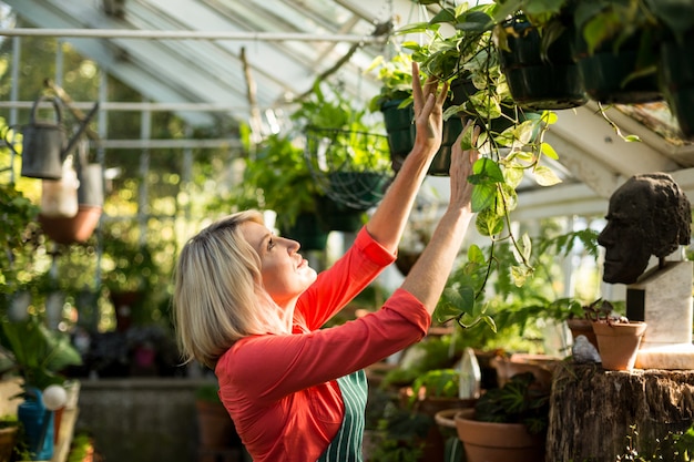 Jardinero hembra inspeccionando plantas en macetas en invernadero