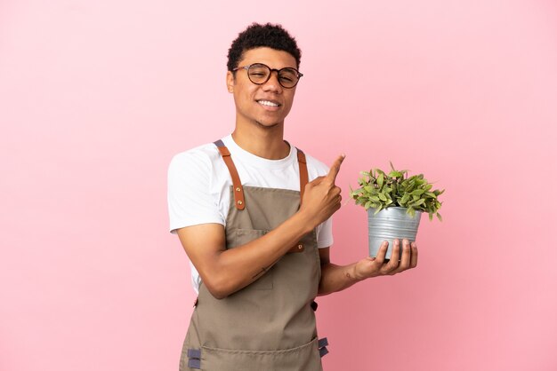 Jardinero hombre africano sosteniendo una planta aislada sobre fondo rosa apuntando hacia el lado para presentar un producto
