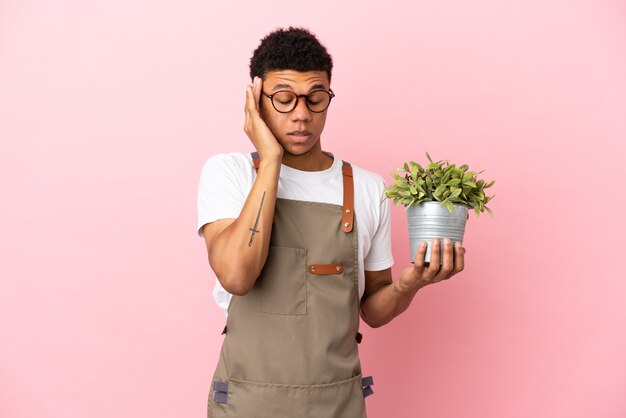 Jardinero hombre africano sosteniendo una planta aislada sobre fondo rosa con dolor de cabeza