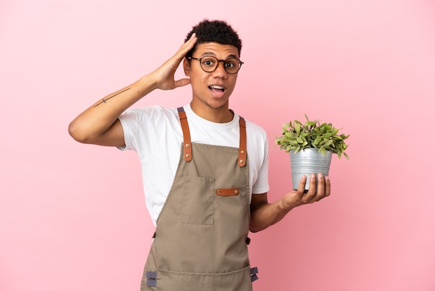 Jardinero hombre africano sosteniendo una planta aislada sobre fondo rosa con expresión de sorpresa