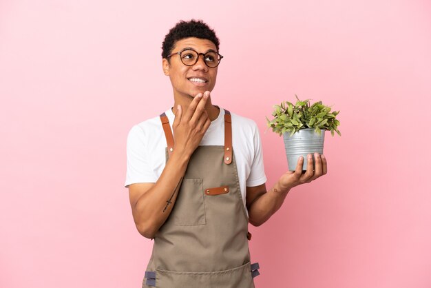 Jardinero hombre africano sosteniendo una planta aislada sobre fondo rosa mirando hacia arriba mientras sonríe