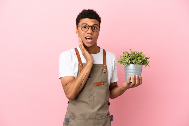 Jardinero hombre africano sosteniendo una planta aislada sobre fondo rosa con sorpresa y expresión facial conmocionada