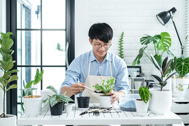 Jardinero de hombre asiático usando una pala para trasplantar la planta a una nueva maceta y cuidar las plantas en la habitación de su casa mientras que la actividad de hobby, concepto de jardín de su casa