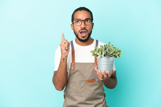 Jardinero hombre latino sosteniendo una planta aislada sobre fondo azul pensando en una idea apuntando con el dedo hacia arriba