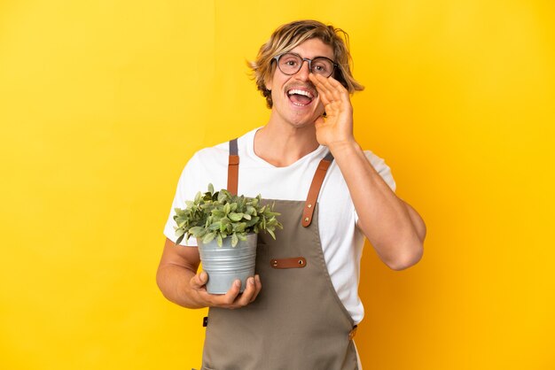 Jardinero hombre rubio sosteniendo una planta aislada en la pared amarilla gritando con la boca abierta