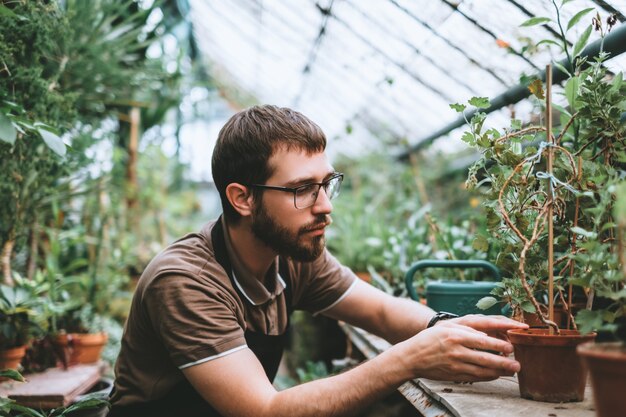 Jardinero joven cuidando plantas en invernadero