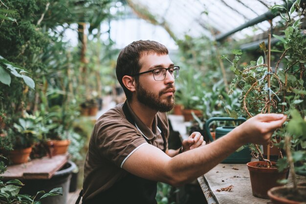 Jardinero joven cuidando plantas en invernadero