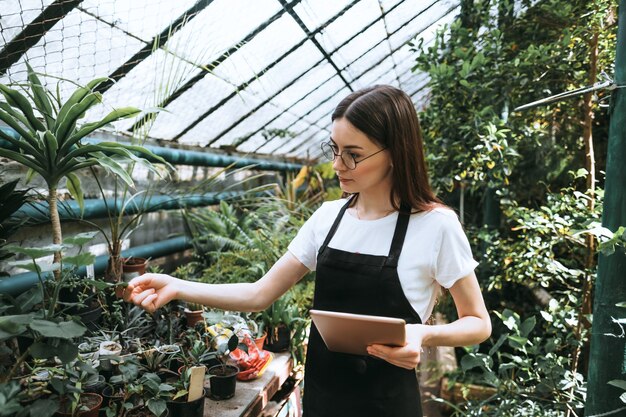 Jardinero joven con tableta digital trabajando en invernadero