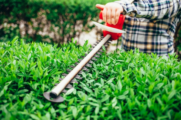 Jardinero macho cortando los arbustos