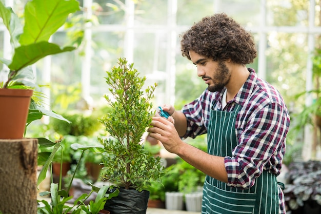 Jardinero macho podando plantas en maceta