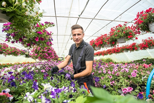 Jardinero masculino está cuidando plantas mientras cultiva flores en invernadero